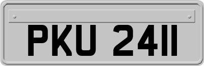 PKU2411