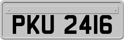 PKU2416