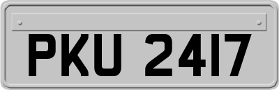 PKU2417