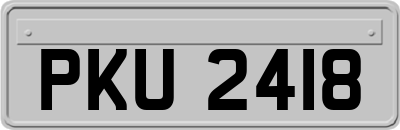 PKU2418