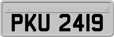 PKU2419