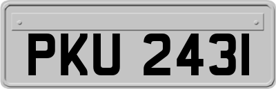 PKU2431