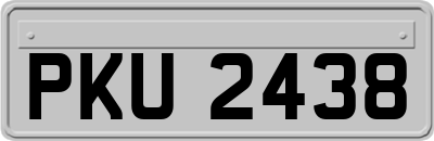 PKU2438