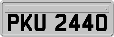 PKU2440