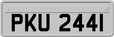 PKU2441