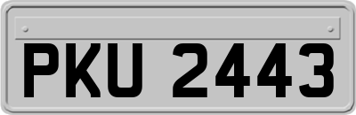 PKU2443