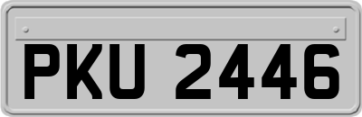 PKU2446