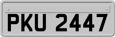 PKU2447