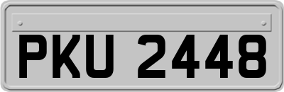 PKU2448