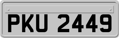 PKU2449