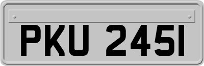 PKU2451