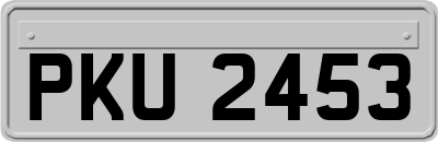 PKU2453