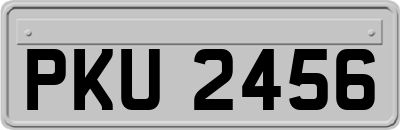 PKU2456