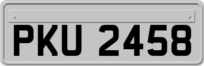 PKU2458