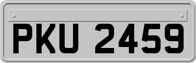PKU2459