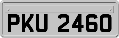 PKU2460