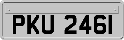 PKU2461