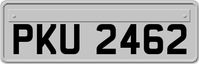 PKU2462