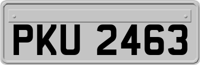 PKU2463