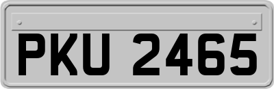 PKU2465