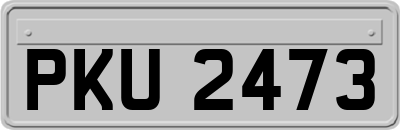 PKU2473