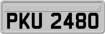 PKU2480
