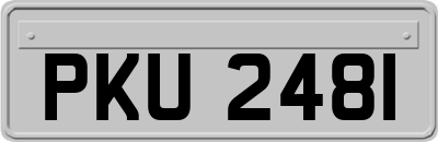 PKU2481
