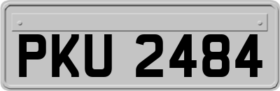 PKU2484