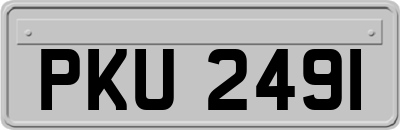 PKU2491