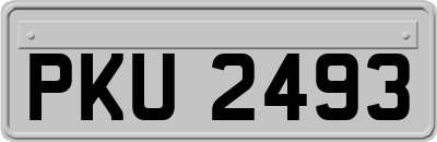PKU2493