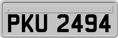 PKU2494