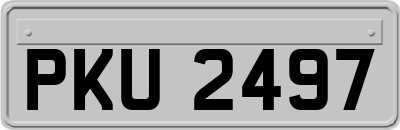 PKU2497