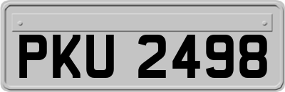 PKU2498