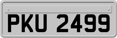 PKU2499