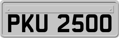 PKU2500
