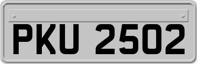 PKU2502