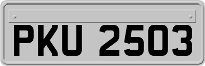 PKU2503