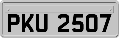 PKU2507
