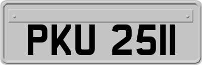 PKU2511