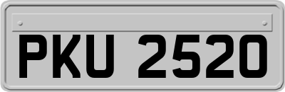 PKU2520