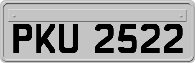 PKU2522
