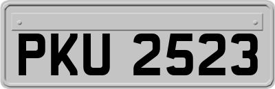 PKU2523