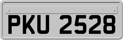 PKU2528