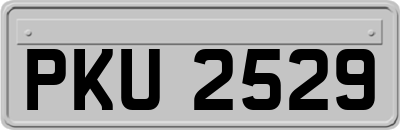 PKU2529