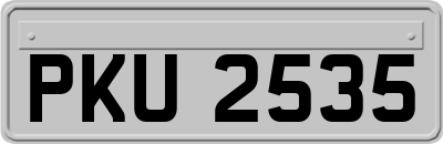 PKU2535