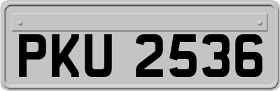 PKU2536