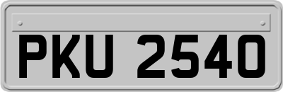 PKU2540