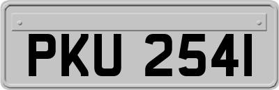 PKU2541
