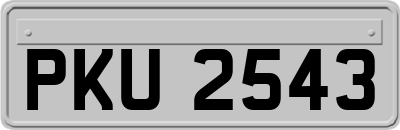 PKU2543