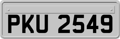 PKU2549